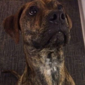 Meet your Posher, Lara